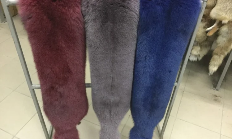 Шкуры лисы - фото № 8