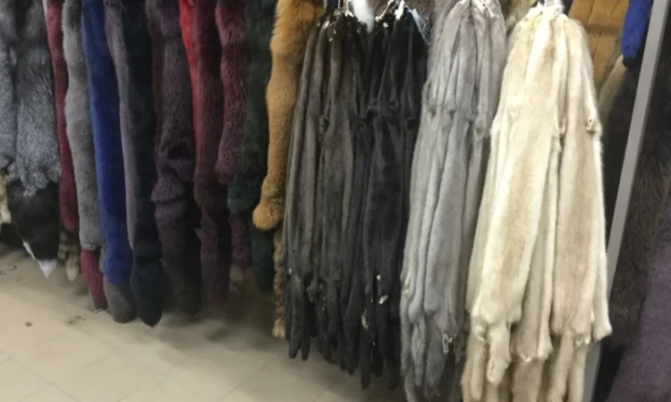 Шкуры лисы - фото № 9