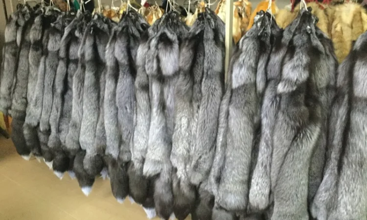 Шкуры чернобурки - фото № 1