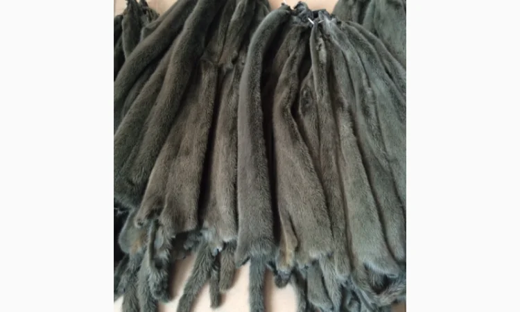 Шкуры норки и других мехов - фото № 5