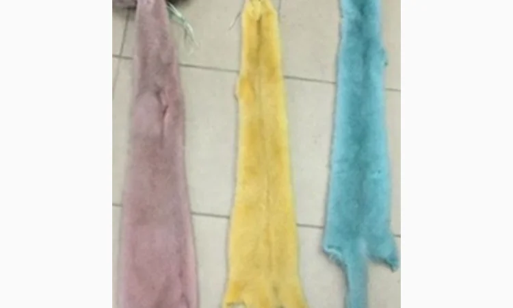 Шкуры норки и других мехов - фото № 7