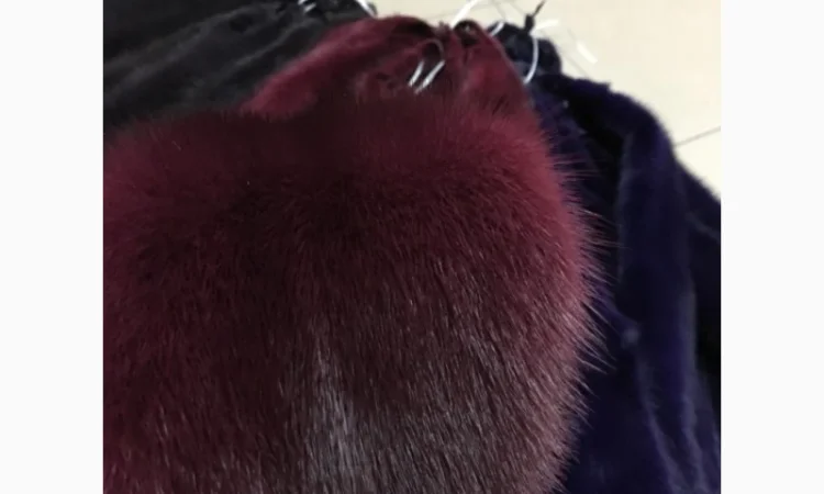 Шкуры норки - фото № 9