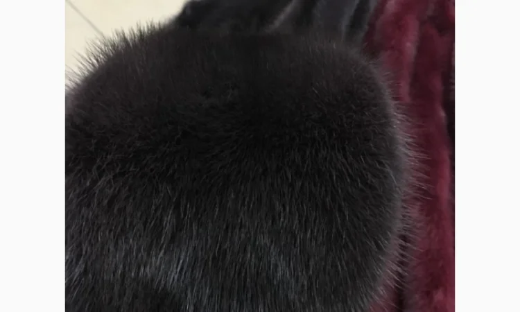Шкуры норки - фото № 10