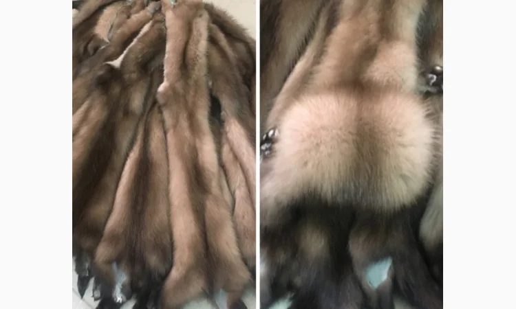Шкуры куницы - фото № 8
