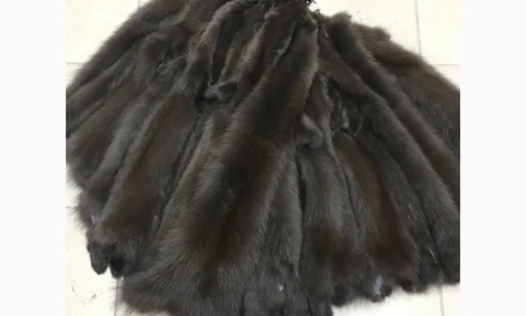 Шкуры куницы - фото № 9