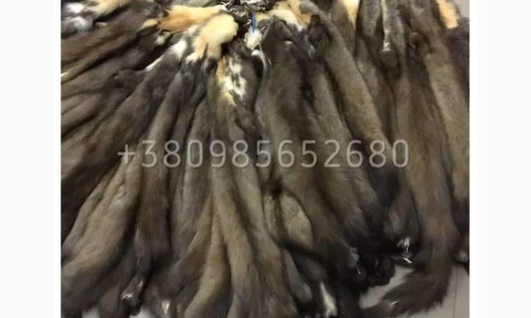 Шкуры куницы - фото № 1