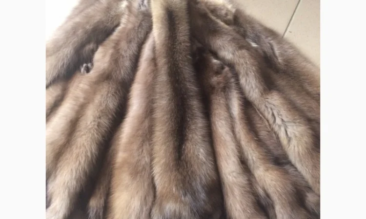 Шкуры куницы - фото № 3