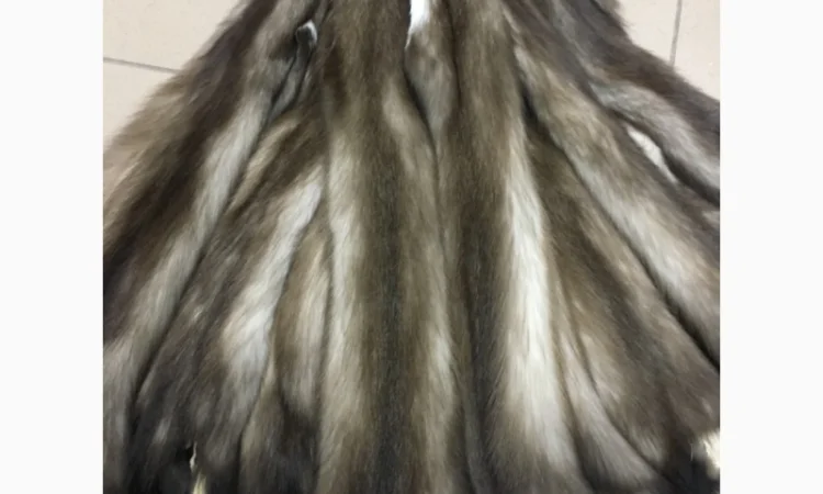 Шкуры куницы - фото № 6