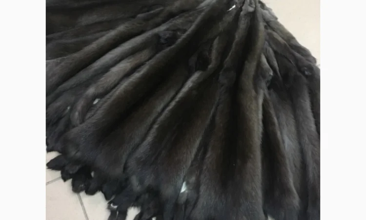 Шкуры соболя мех - фото № 1