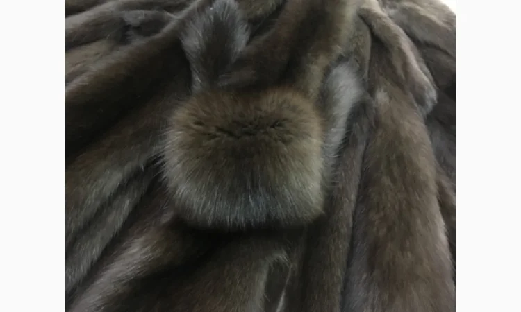 Шкуры соболя и других животных - фото № 2