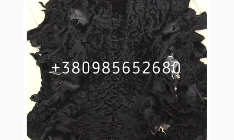 Шкуры мех каракуля - фото № 1