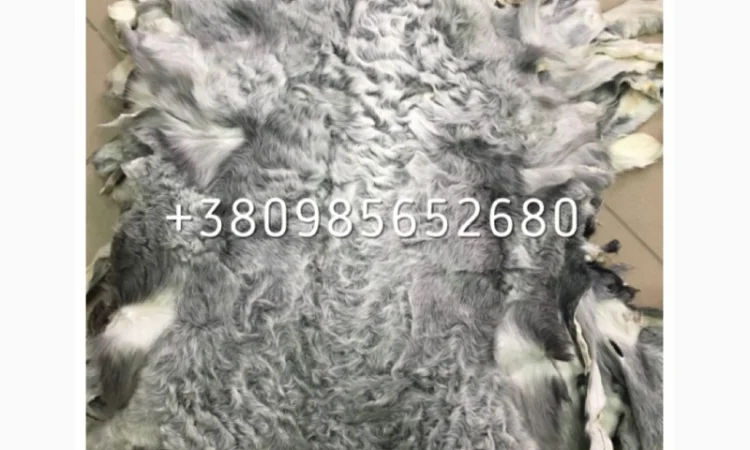 Шкуры мех каракуля - фото № 2
