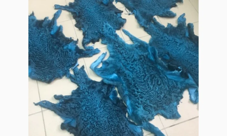 Шкуры мех каракуля - фото № 6