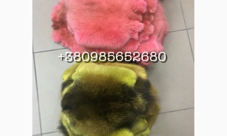 Шкуры, мех ондатры - фото № 1