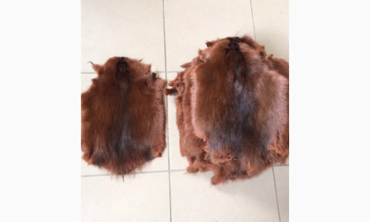 Шкуры и мех: ондатра и натуральный мех - фото № 2
