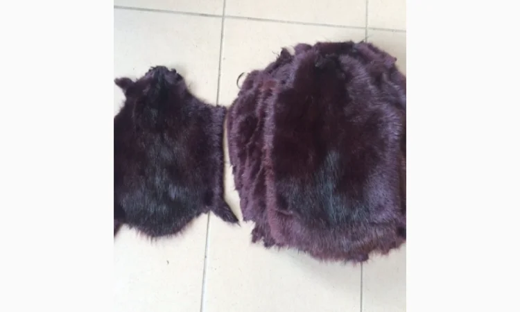 Шкуры и мех: ондатра и натуральный мех - фото № 3