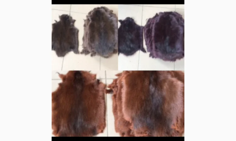 Шкуры и мех: ондатра и натуральный мех - фото № 4