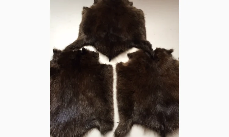 Шкуры и мех: ондатра и натуральный мех - фото № 7