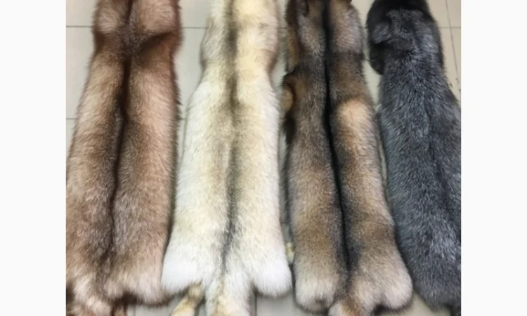 Шкуры мех блюфроста - фото № 10