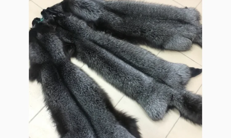 Шкуры мех блюфроста - фото № 12