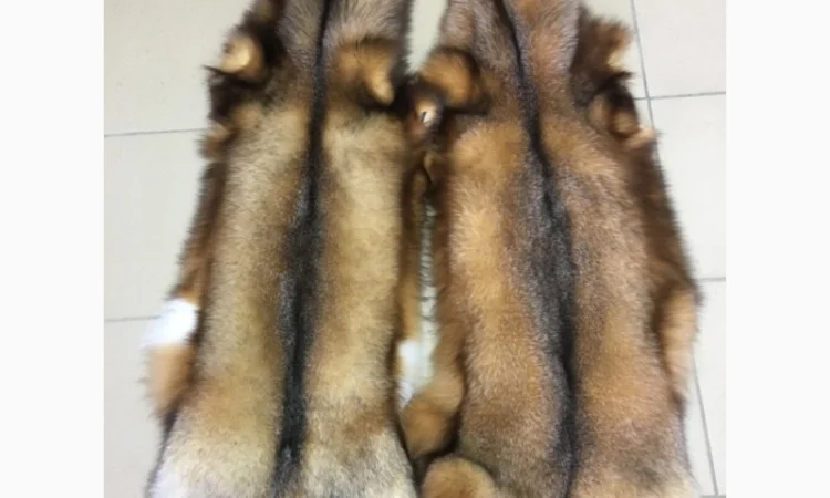 Шкуры мех блюфроста - фото № 13