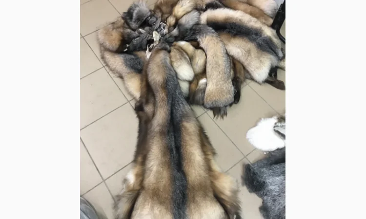 Шкуры натурального меха блюфроста - фото № 14