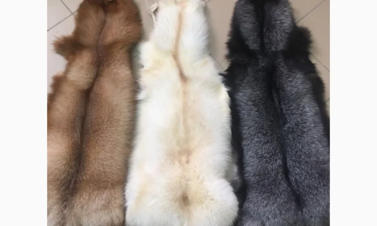 Шкуры мех блюфроста - фото № 3