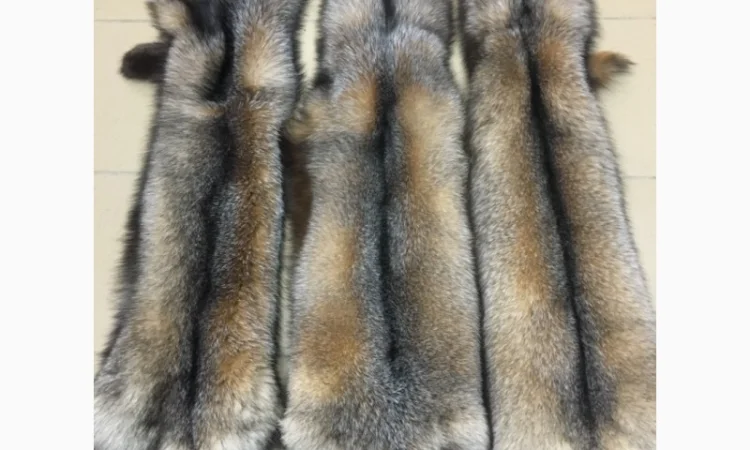 Шкуры мех блюфроста - фото № 9