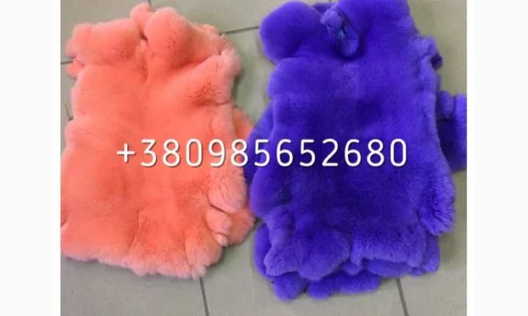 Шкуры Кроля Кролика - фото № 10