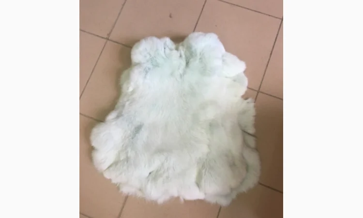 Шкуры кролика и натуральный мех в продаже - фото № 11