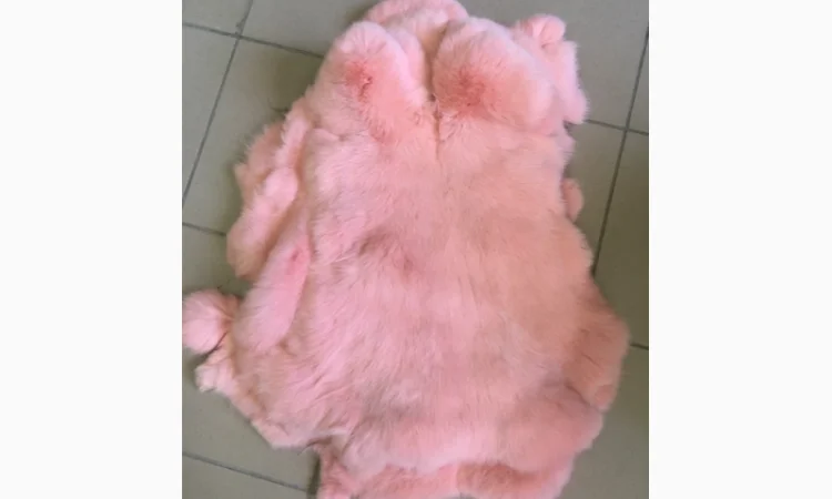 Шкуры кролика и натуральный мех в продаже - фото № 13
