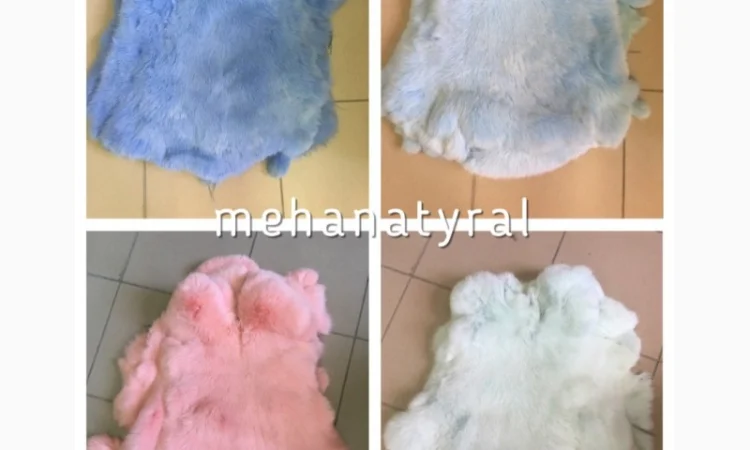 Шкуры Кроля Кролика - фото № 11