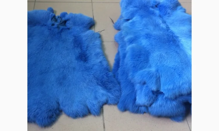 Шкуры Кроля Кролика - фото № 2