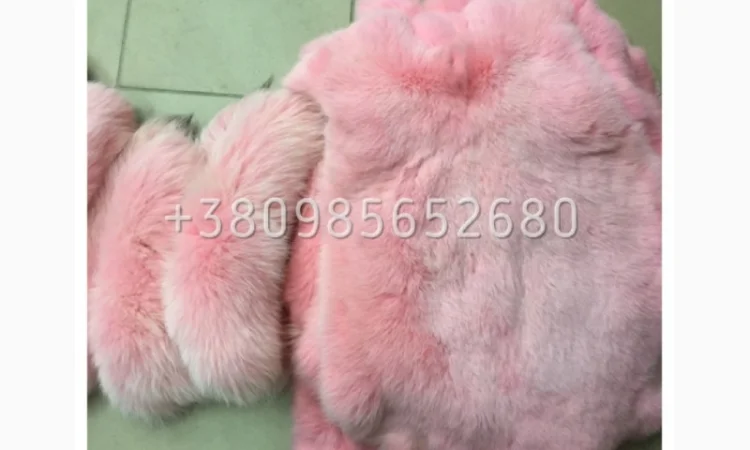 Шкуры Кроля Кролика - фото № 4