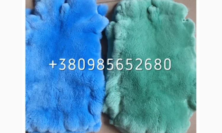 Шкуры Кроля Кролика - фото № 5