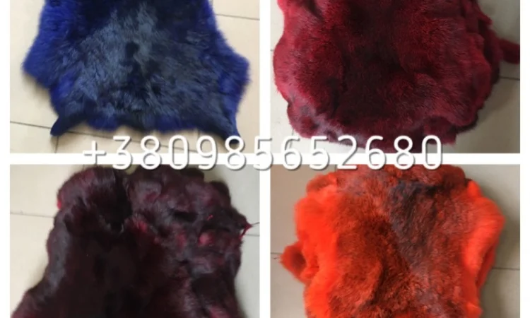 Шкуры Кроля Кролика - фото № 6