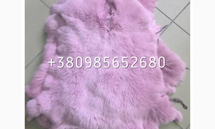 Шкуры Кроля Кролика - фото № 8