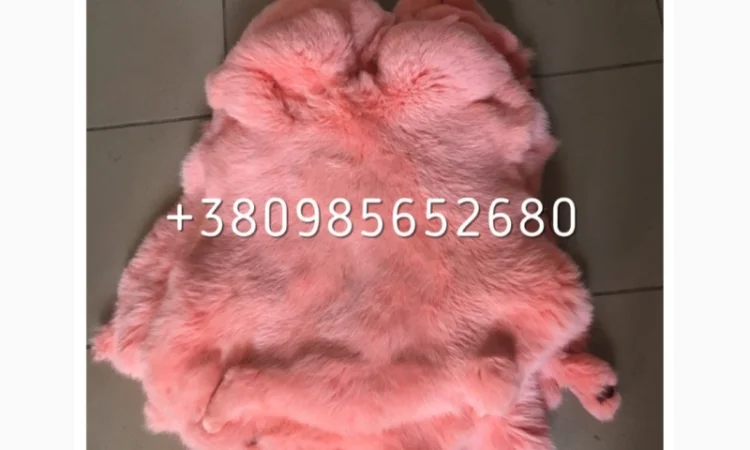 Шкуры Кроля Кролика - фото № 9