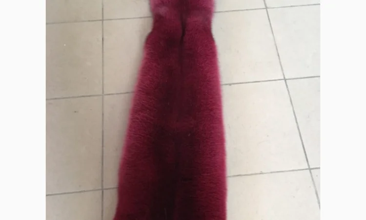 Шкуры мех песца - фото № 8