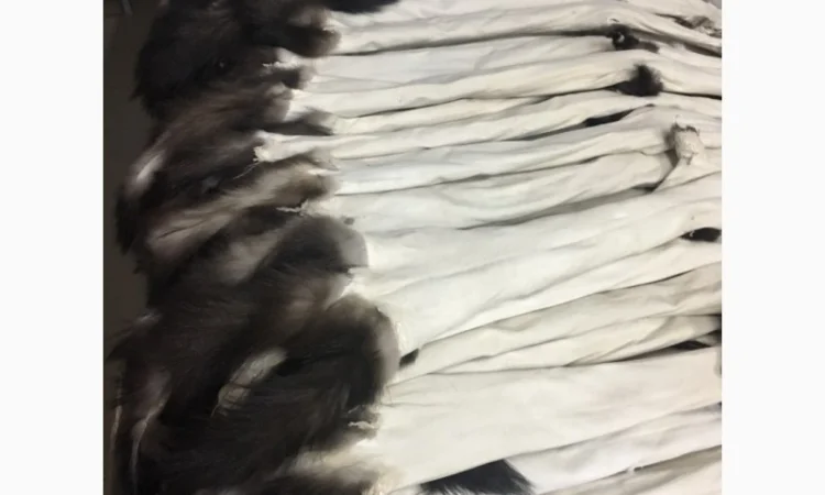 Выделка, Выченка, окраска, покраска натурального меха - фото № 1