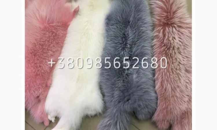 Шкуры мех енота - фото № 2