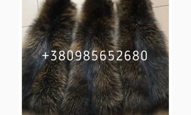 Шкуры мех енота - фото № 10