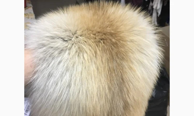 Шкуры мех енота - фото № 9