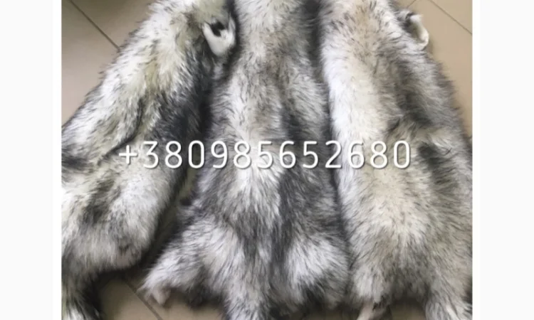 Шкуры мех енота - фото № 8