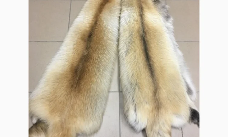 Шкуры мех енота - фото № 6