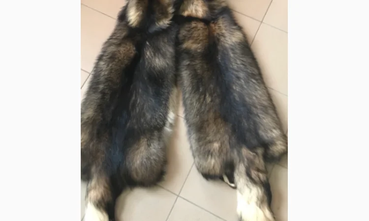 Шкуры и мех енота – продажа натурального материала - фото № 17