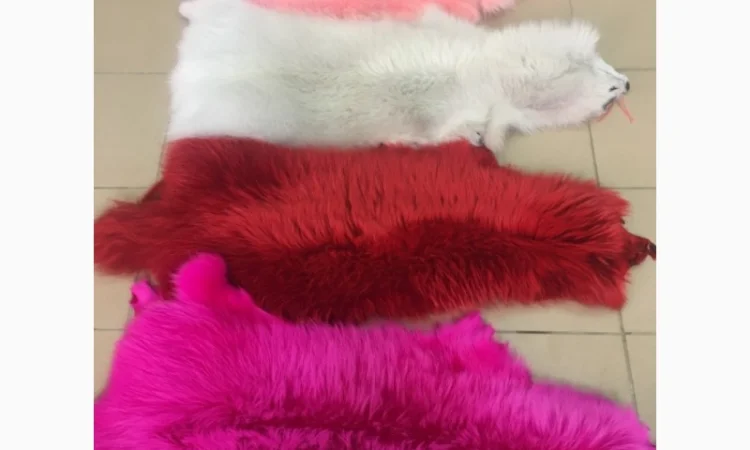 Шкуры мех енота - фото № 4