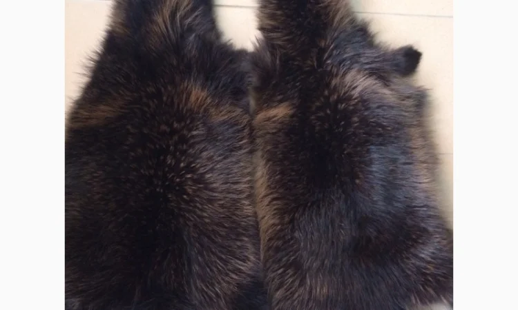 Шкуры мех енота - фото № 18