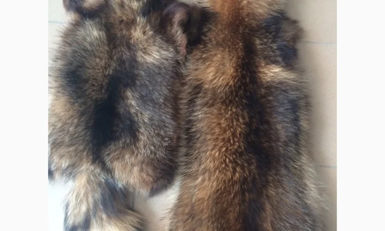 Шкуры мех енота - фото № 17