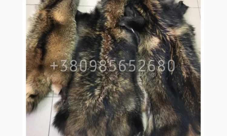 Шкуры мех енота - фото № 16